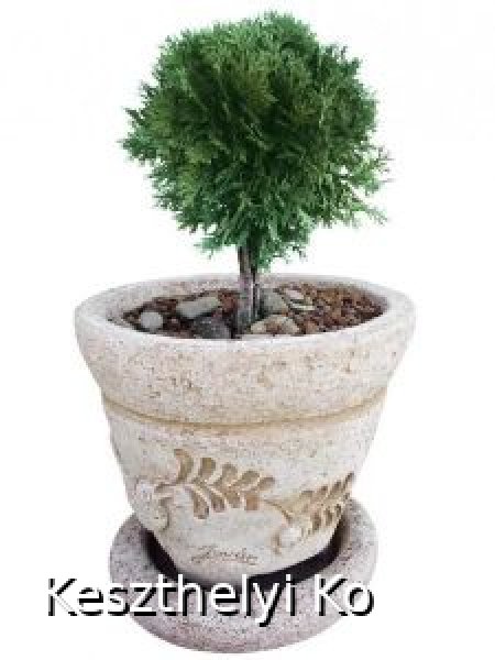 kö virágtartók,beton virágtartók,kaspó,balkonláda,virágláda,virágtartó,kaspó